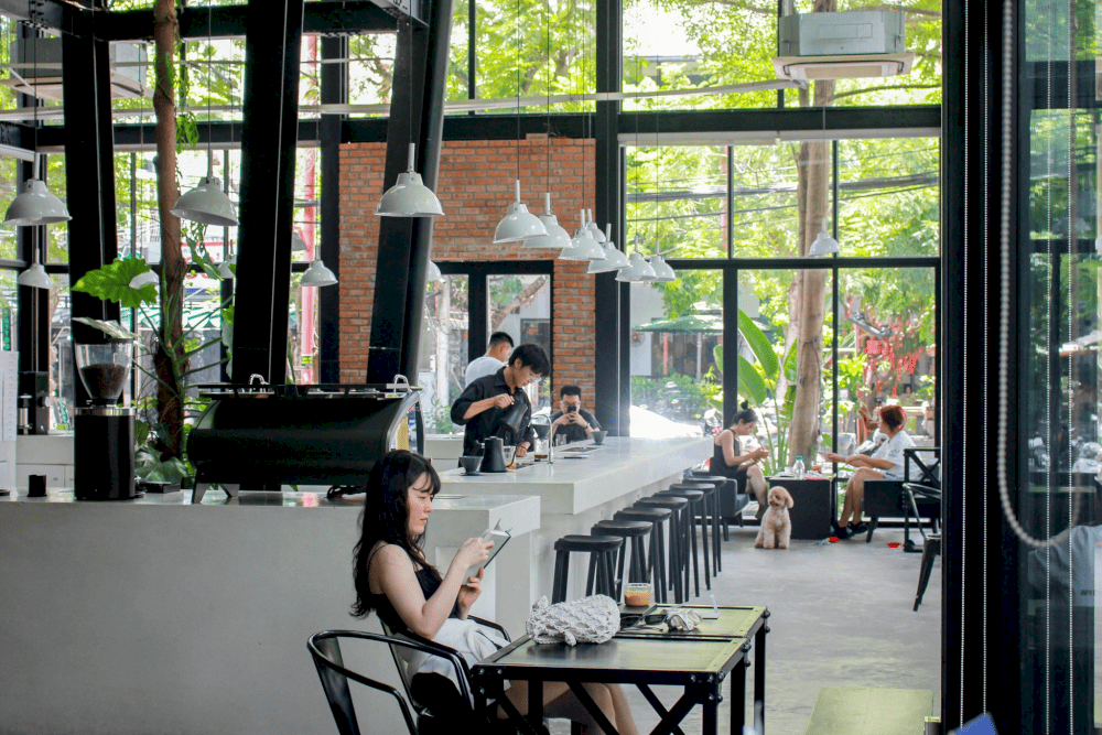 XLIII Specialty Coffee is where you find minimalism and beauty from nature with greenery and abundant natural light (Source: XLIII Coffee)